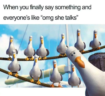 Meme of seagulls looking at you and saying "OMG, she talks"